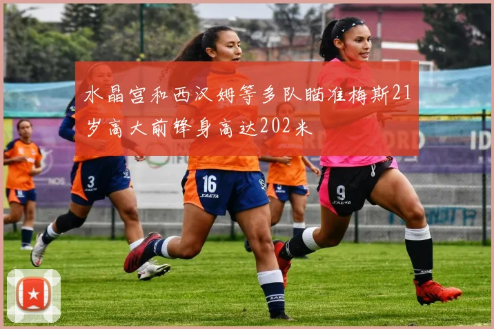 水晶宫和西汉姆等多队瞄准梅斯21岁高大前锋身高达202米