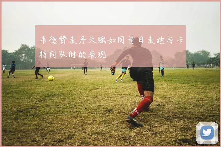 韦德赞麦丹天赋如同昔日麦迪与卡特同队时的表现
