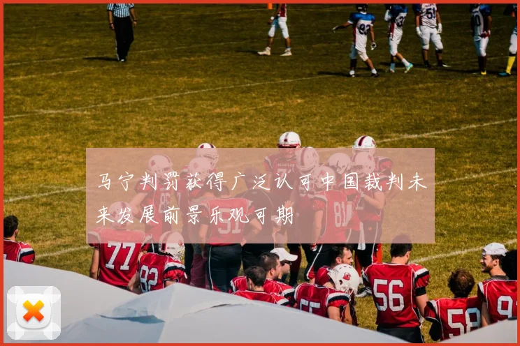 马宁判罚获得广泛认可中国裁判未来发展前景乐观可期