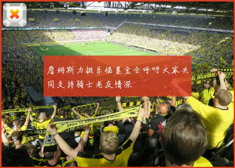 詹姆斯力挺乐福基金会呼吁大家共同支持骑士老友情深